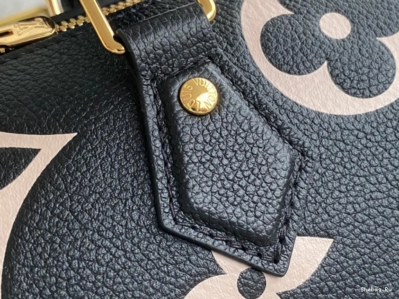 25 SPEEDY BANDOULIÈRE LOUIS VUITTON 0813
